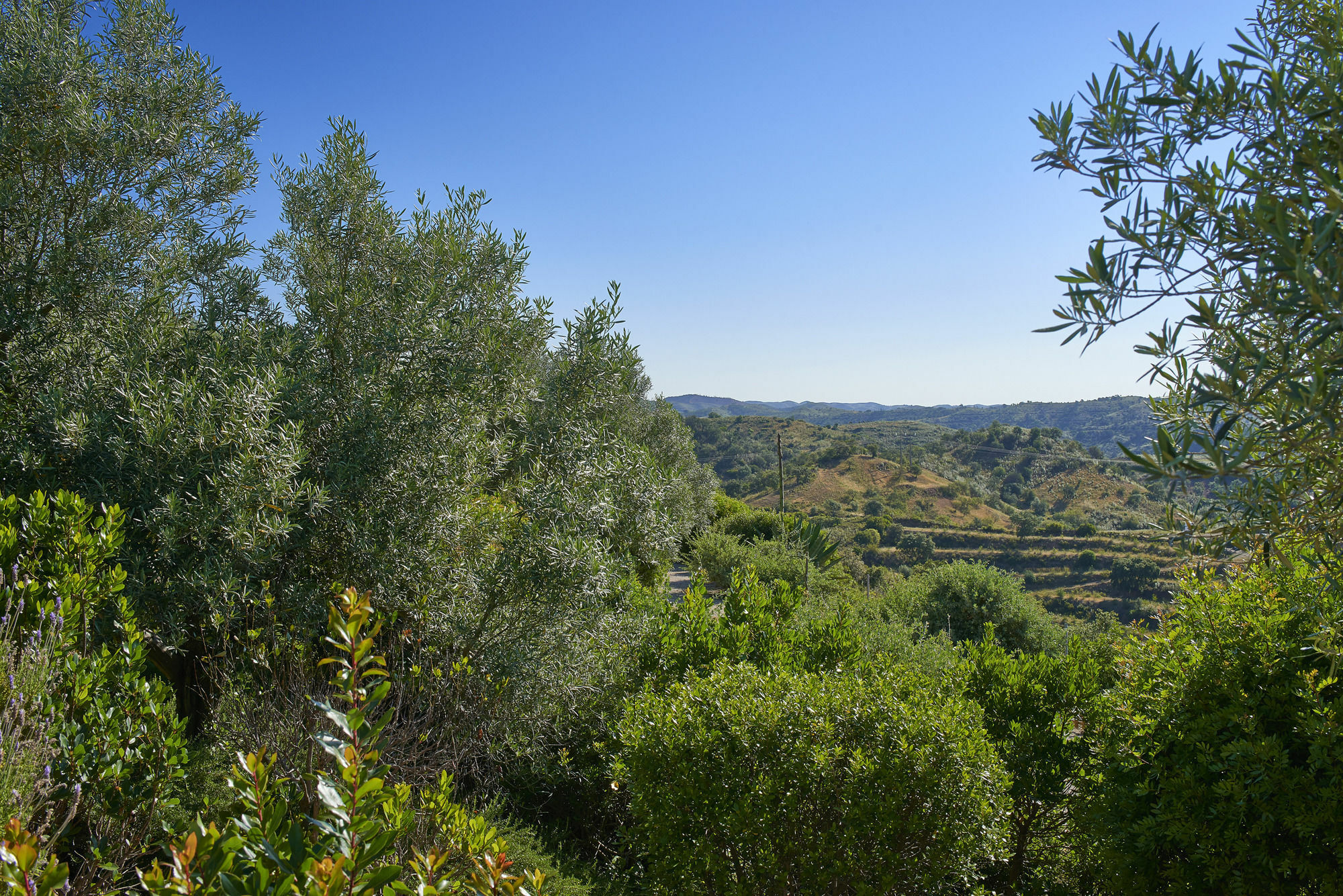 Hotel Rural Quinta Do Marco - Nature & Dining タヴィラ エクステリア 写真