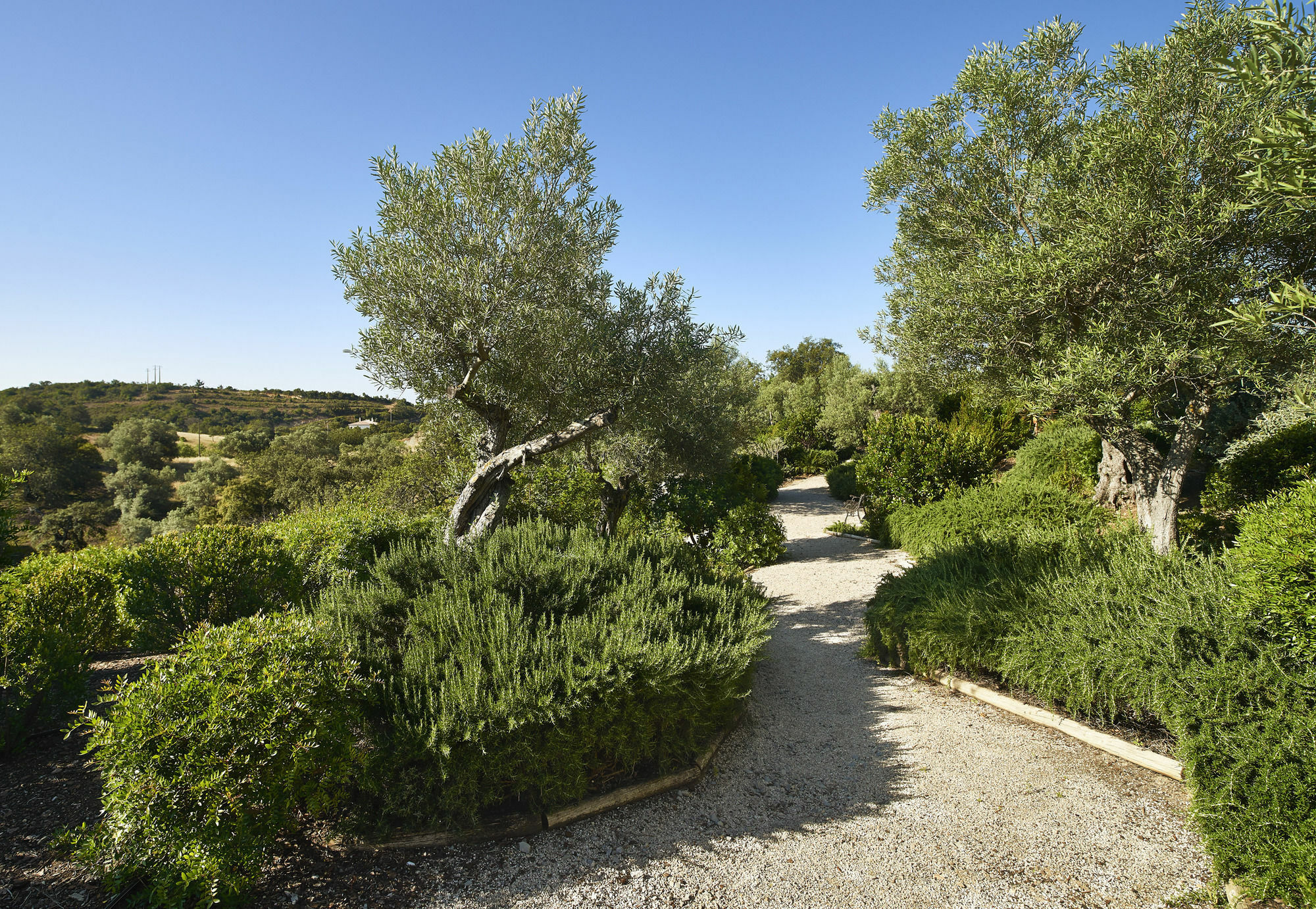 Hotel Rural Quinta Do Marco - Nature & Dining タヴィラ エクステリア 写真
