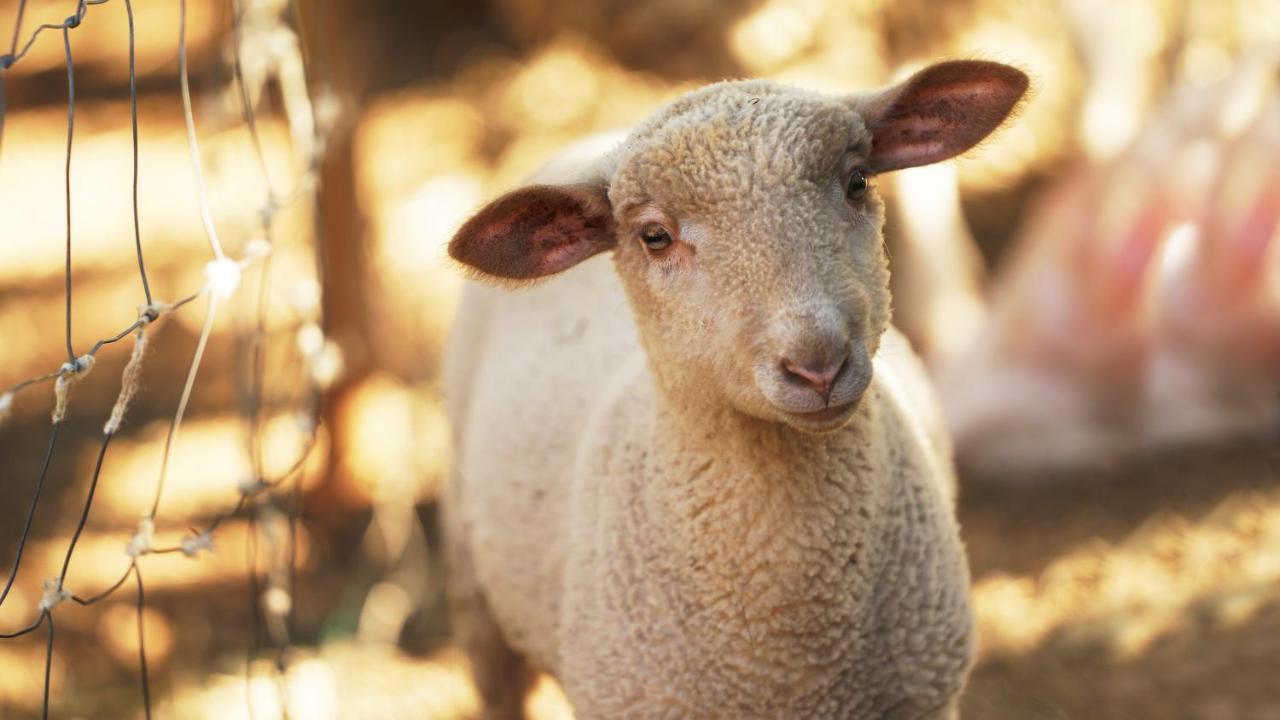 Hotel Rural Quinta Do Marco - Nature & Dining タヴィラ エクステリア 写真